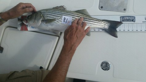 24_&amp;_three_quarters