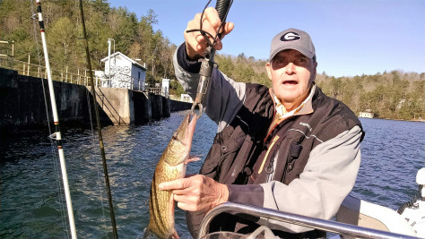 Bob Chain Pickerel Burton 2017