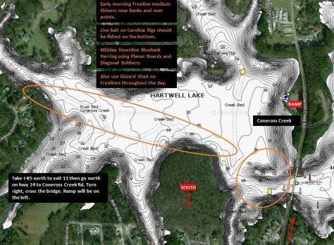 Fishing Conerross Creek