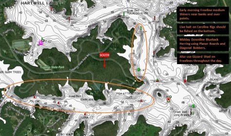 Gum Log Creek South Tugalo Launch at Hartwell State Park